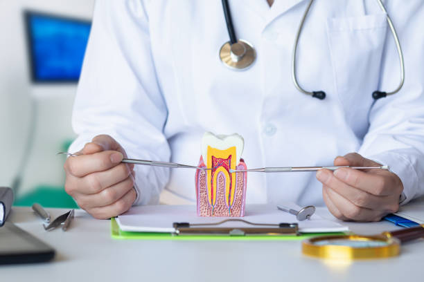 Best Emergency Dental Care for Broken or Chipped Teeth in Madeira, OH